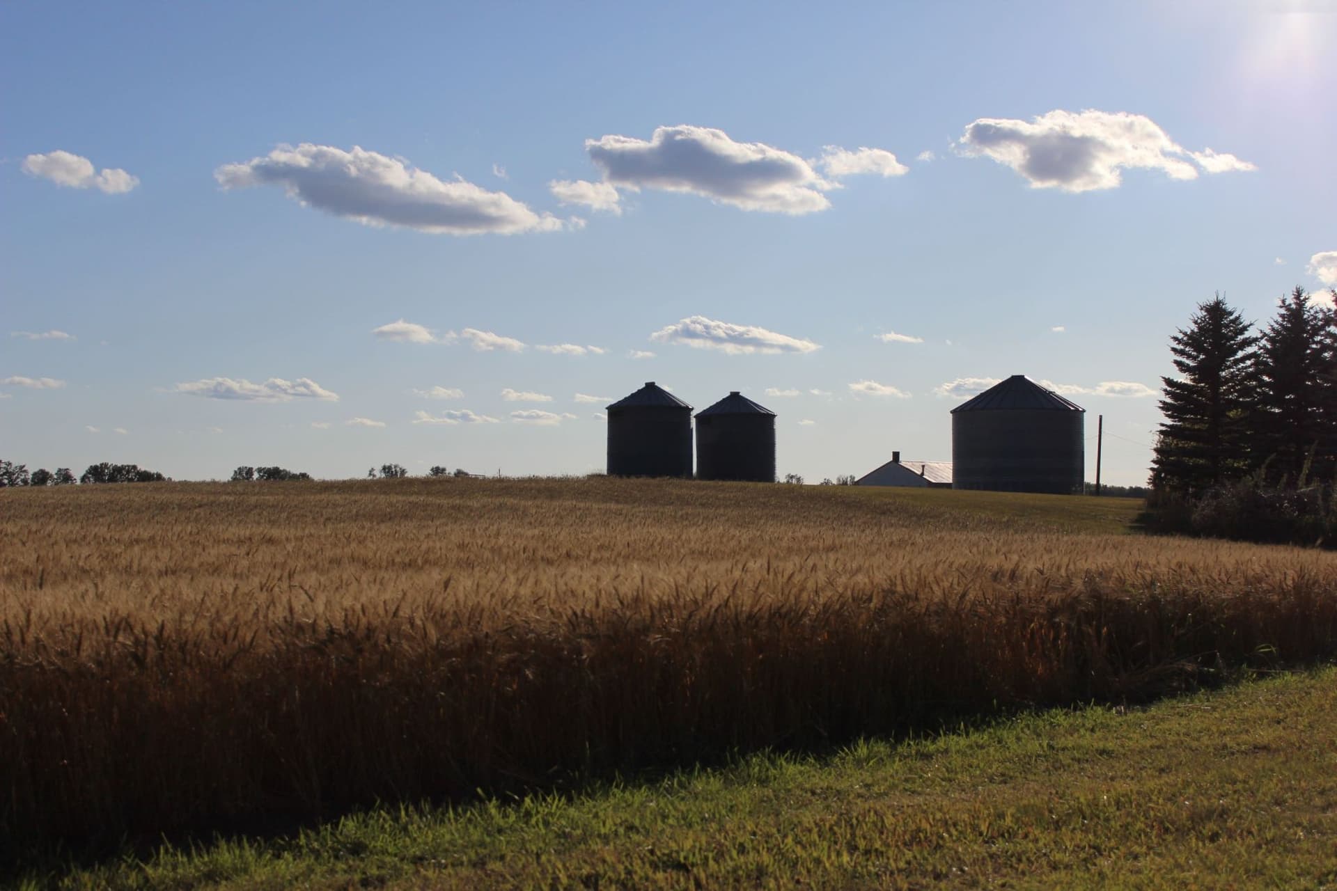 High-Paying Jobs Near Edmonton: Counties Hiring Now with Salaries Over $100K!