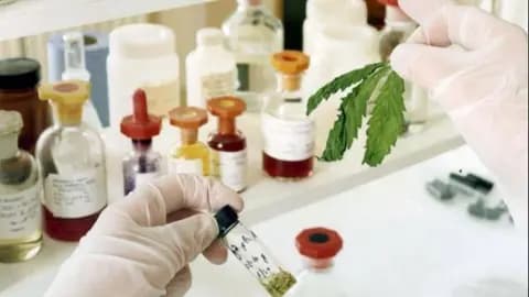 Medicinal cannabis is now prescribed to over 80,000 people in the UK