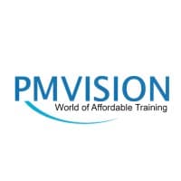 PMVISION logo